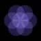 Paced Breathing Exercises App