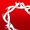 Devoted - Daily Devotional