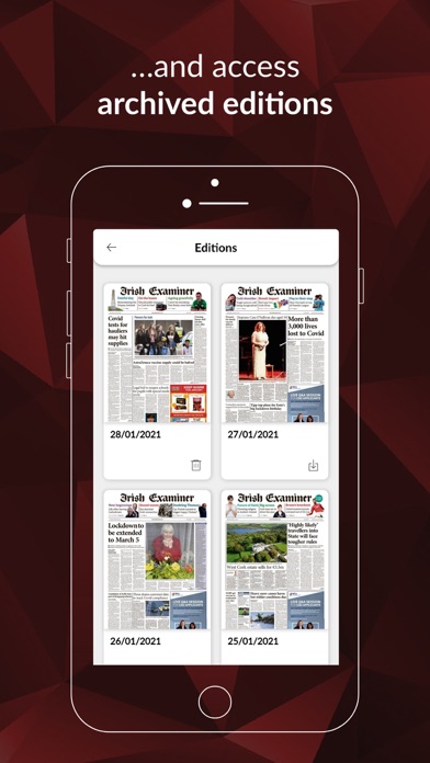 Irish Examiner ePaper Screenshots