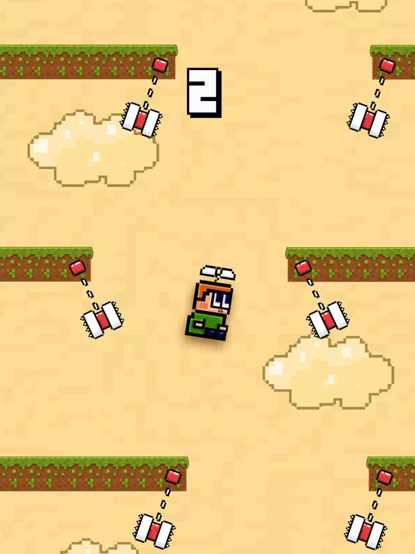 Tangkapan skrin Swing Block iPad 