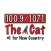 The Cat Albany