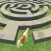 Horse Maze Run Challenge