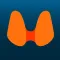 Thyroid Nodule & Cancer Guide