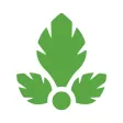 Parse.ly