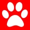 Pet Heroes Dog Grooming