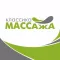 КМ - сеть кабинетов по массажу