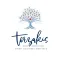 Terzakis & Associates