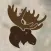 MooseMapp - Sightings & Alerts