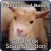 WalkAround Ranch Goat Milk Soap & Lotion