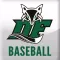 Dutch Fork Silver Foxes Baseball