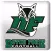 Dutch Fork Silver Foxes Football