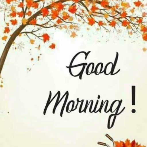 Good Morning, Night Wishes