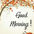 Good Morning, Night Wishes