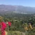 Pasadena Foothill Home Values