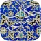 روایاتی از مسجد