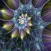 3D Awesome Looking Fractal Wallpapers