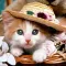 Kitty Wallpapers and Backgrounds