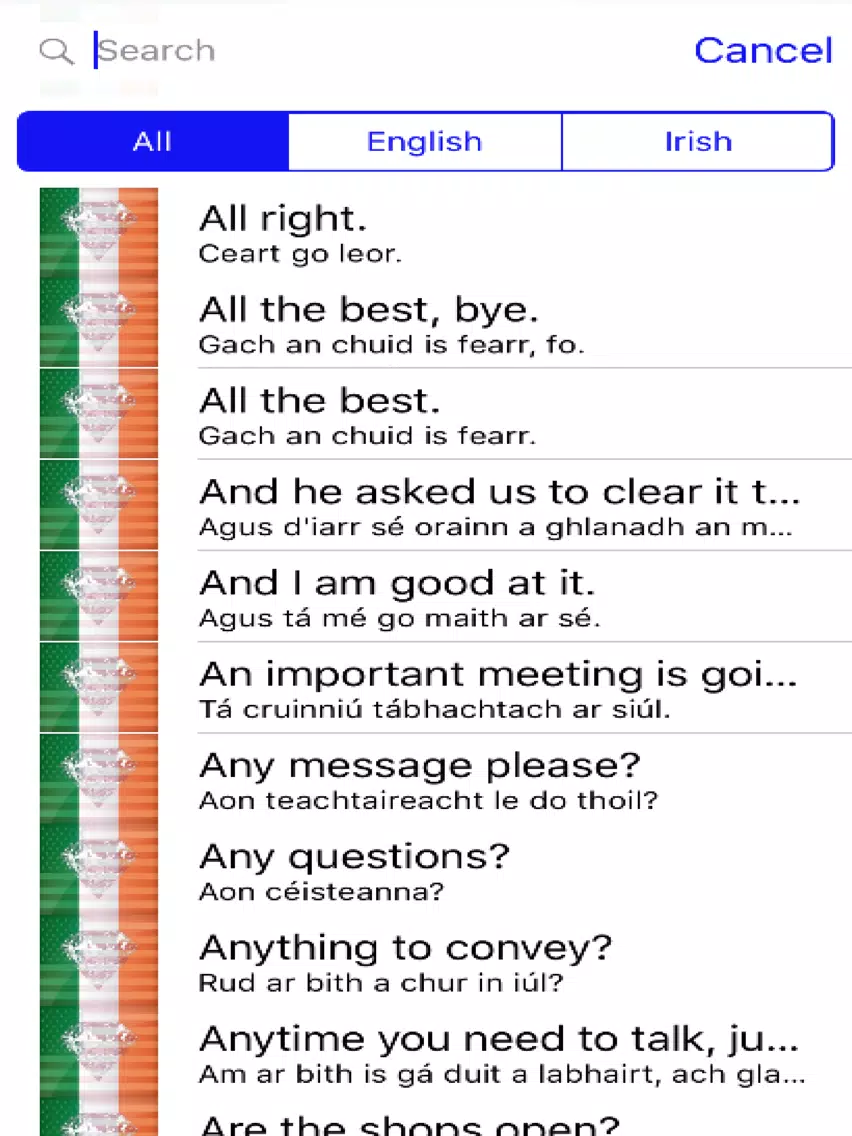 Irish Phrases Diamond 4K Edition iPad Screenshots