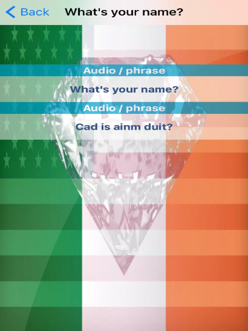 Irish Phrases Diamond 4K Edition iPad Screenshots