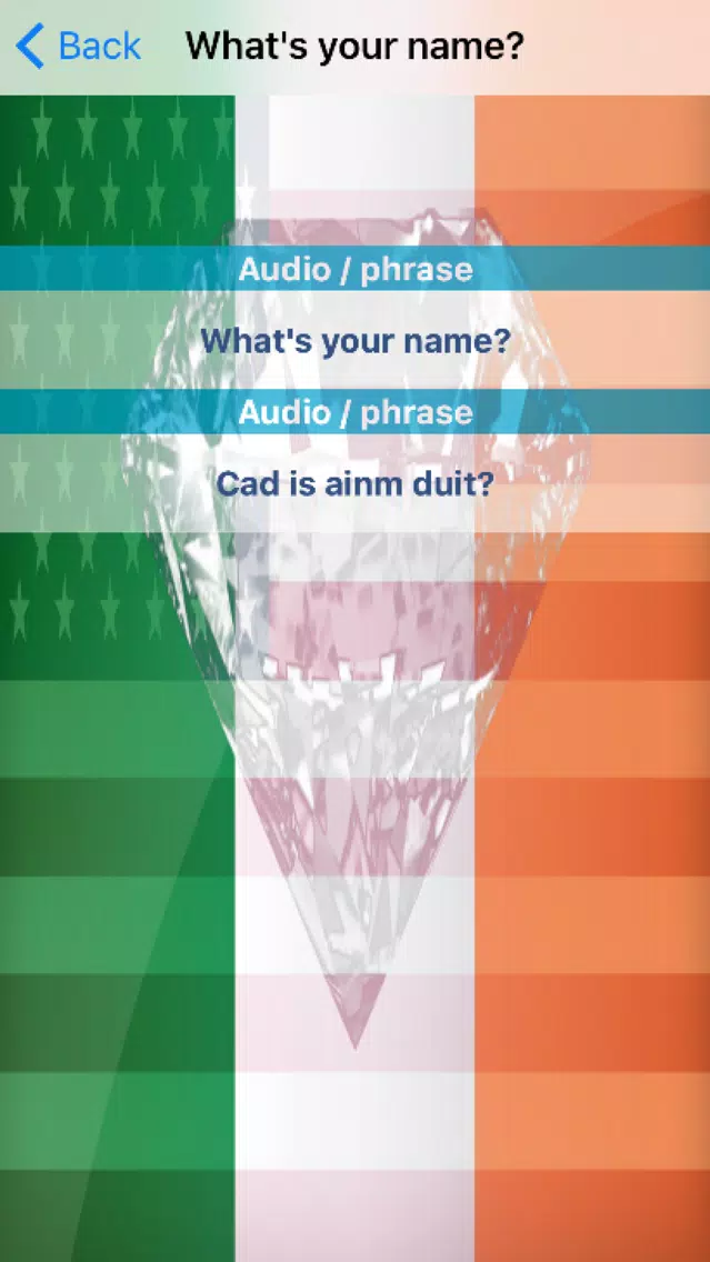 Irish Phrases Diamond 4K Edition Screenshots