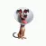 Cone of Shame Stickers