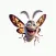 Goofy Moth Stickers