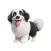 Happy English Sheepdog