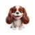 Happy King Charles Spaniel
