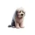 Sad English Sheepdog Stickers