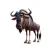 Sad Wildebeest Stickers