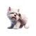 Scratching Westie Stickers