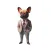 Smart French Bulldog Stickers