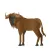 Wildebeest Stickers