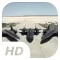 Buzz Valkyries - Flight Simulator
