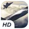 JackRaven - Fighter Jet Simulator