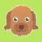 Pawfect Life - Puppy Training