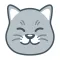 Curious Cat: Paid Surveys
