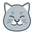 Curious Cat: Paid Surveys Curious Cat: Paid Surveys