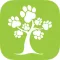 pawPay
