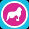Canine Fitness App