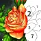 Art Number Coloring Book