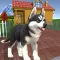 Virtual Puppy Dog Simulator