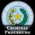 TX Code of Criminal Proc 2024