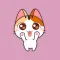 Meow Meow Animated