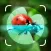 Bug Identifier - Insect