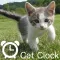 CatPhotoClock