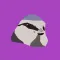 Bird Voice