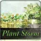 Plant Storm