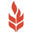 Fireflour