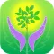 Home Remedies : Natural Cure+